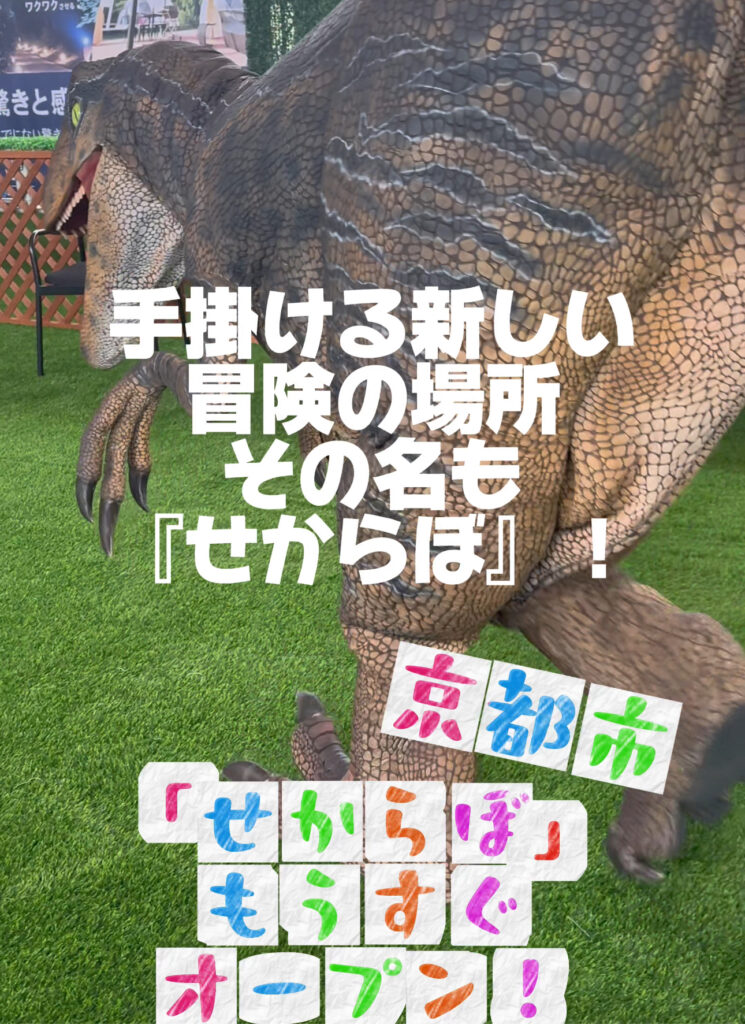 きょうりゅう Amazon.co.jp: National Geographic 3d Lenticular Tレックス