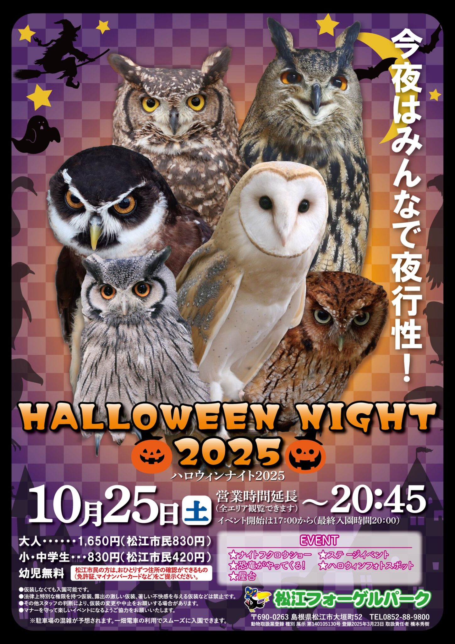 恐竜がやってくる！ハロウィンナイト開催‼️／🎃🦖HALLOWEEN NIGHT